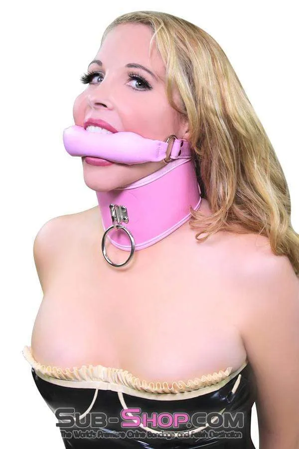 8976DL-SIS      Pink Sissy Boi Crossdressing Pet Posture Collar with Female Top Leash Set