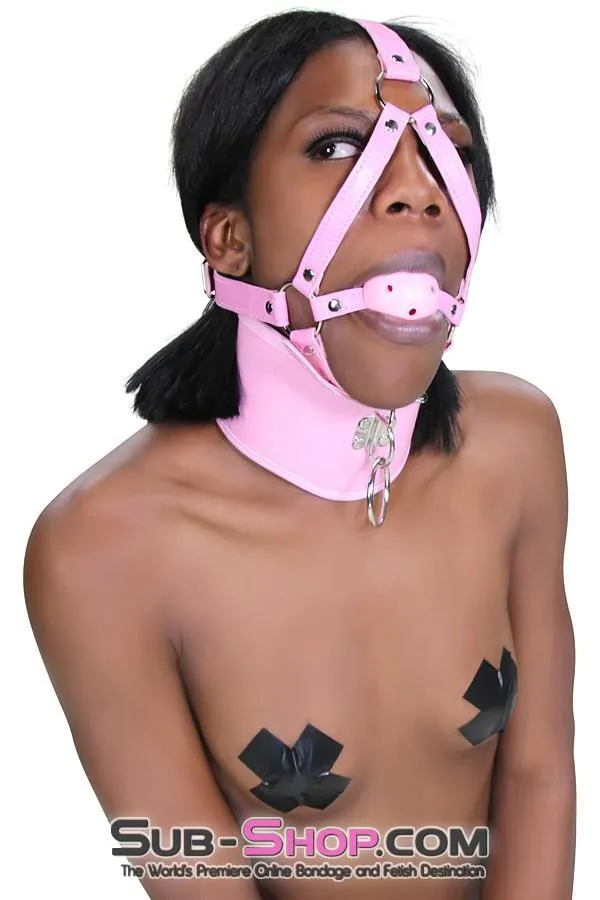 8976DL-SIS      Pink Sissy Boi Crossdressing Pet Posture Collar with Female Top Leash Set