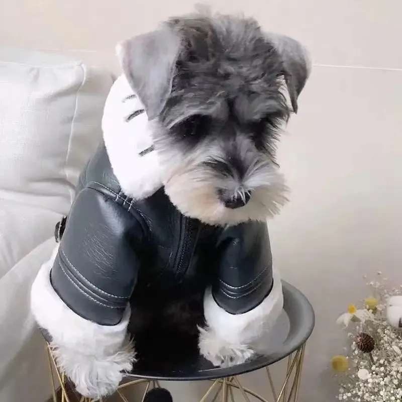 Dog Fashion Winter Clothing Thickened Trendy Brand Fur Integrated Motorcycle Jacket Small Dog Teddy Bomy Cat
