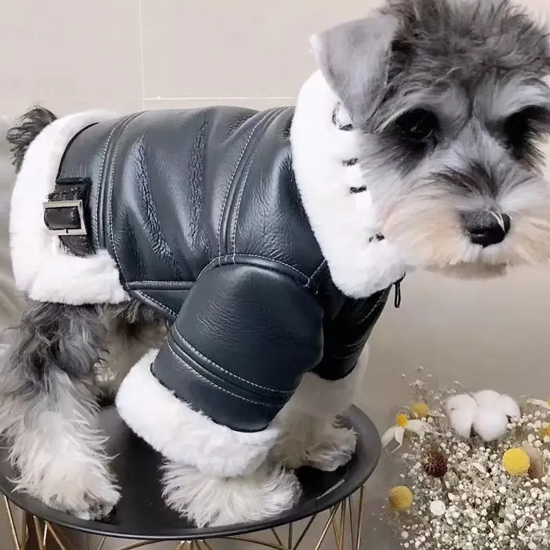 Dog Fashion Winter Clothing Thickened Trendy Brand Fur Integrated Motorcycle Jacket Small Dog Teddy Bomy Cat
