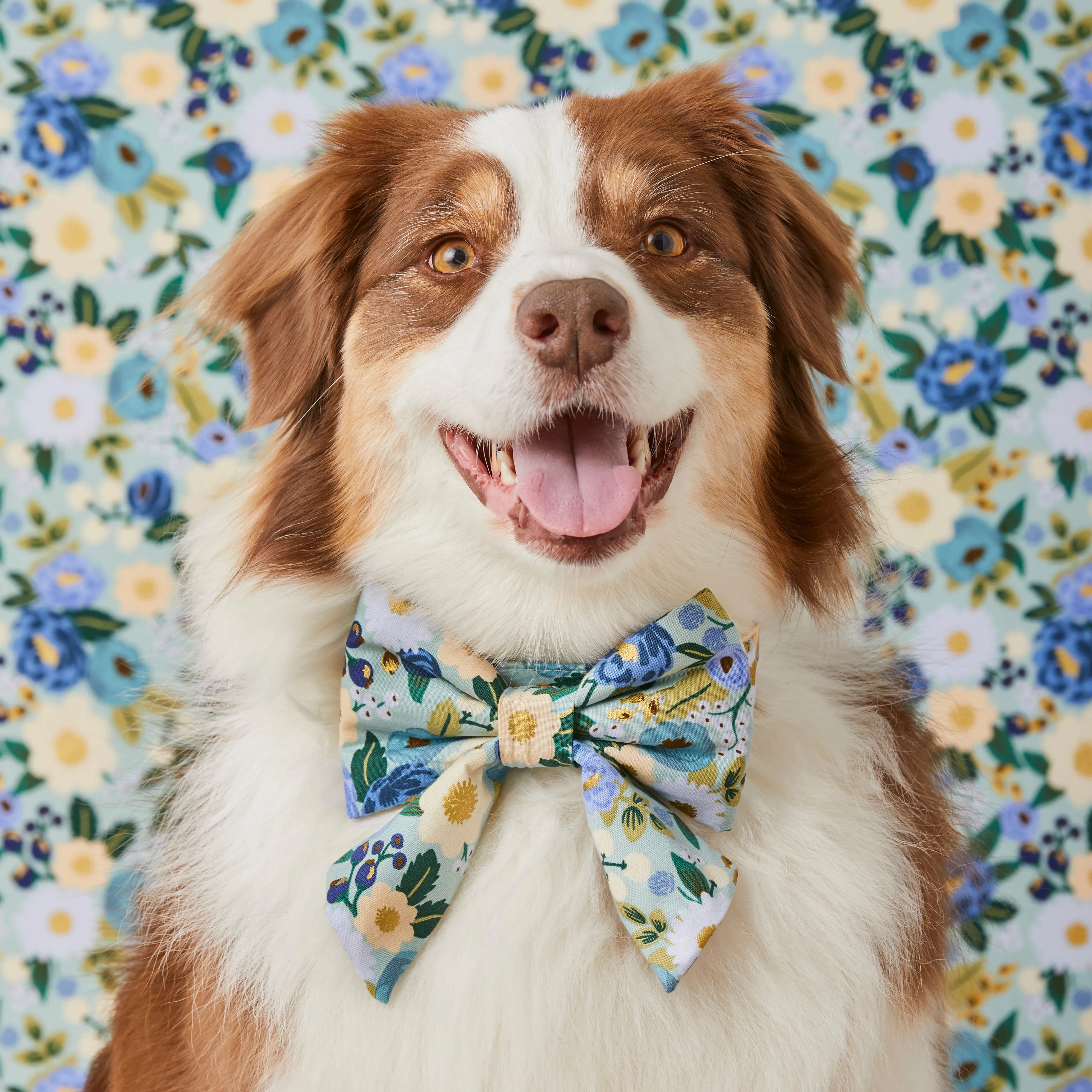 Rifle Paper Co. x TFD Vintage Blossom Lady Bow Collar